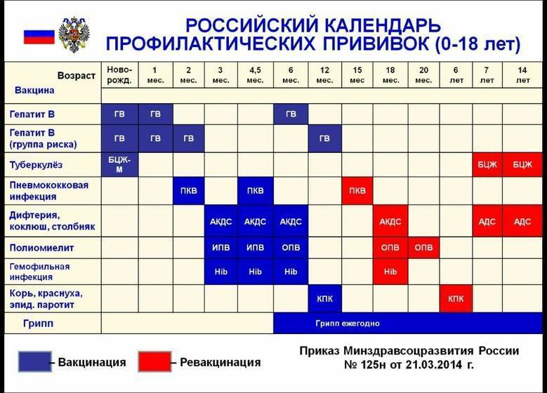 График прививок для детей от рождения до трех лет — национальный календарь и сроки ревакцинации — med-anketa.ru