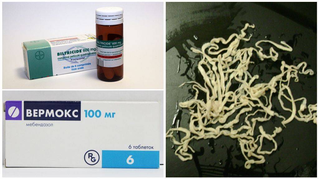 Средства от глистов в домашних условиях