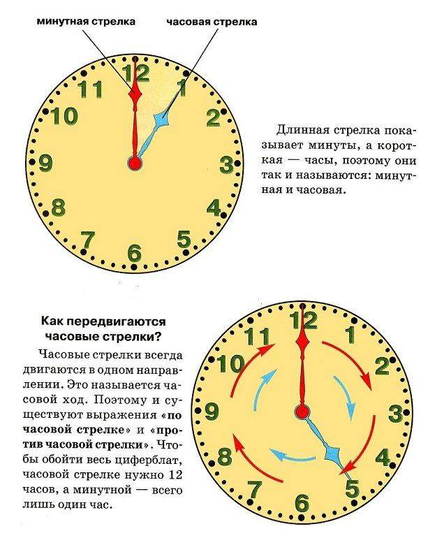 Как научить ребенка определять время по часам