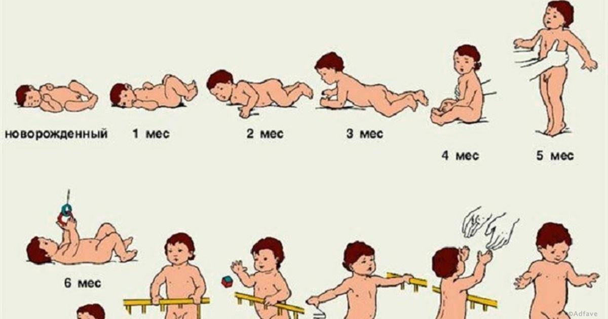 Во сколько месяцев ребенок начинает садиться? - medical insider