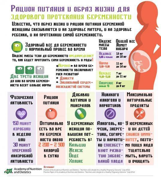 Питание во время беременности 1 2 3 триместр: правильное по неделям, таблица