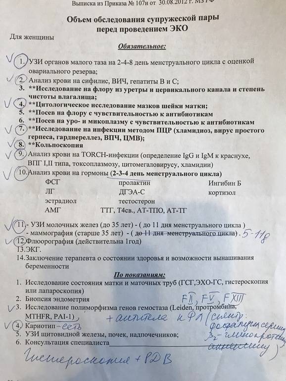 Эко по омс в москве – бесплатная программа в клинике gms эко