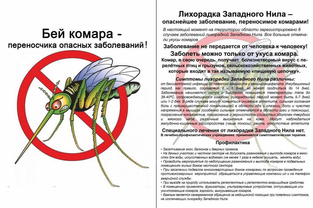 Аллергия на укусы комаров у детей и взрослых - myallergo