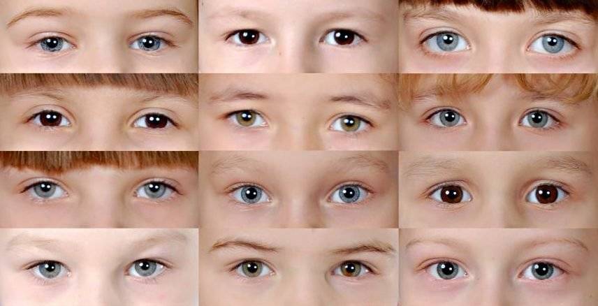 Как узнать цвет глаз будущего ребенка