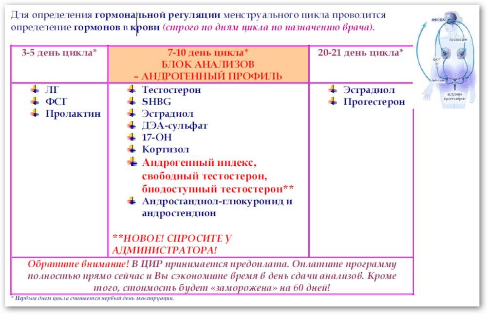 Анализ на тестостерон у женщин: для чего и на какой день цикла сдавать