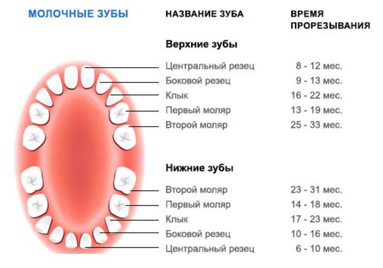 Аномалии зубов | аномалии положения, числа, формы и размера зубов