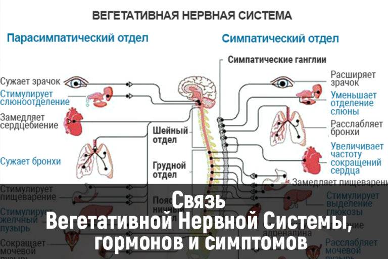 Соматоформная дисфункция вегетативной нервной системы: телесные симптомы психотического расстройства