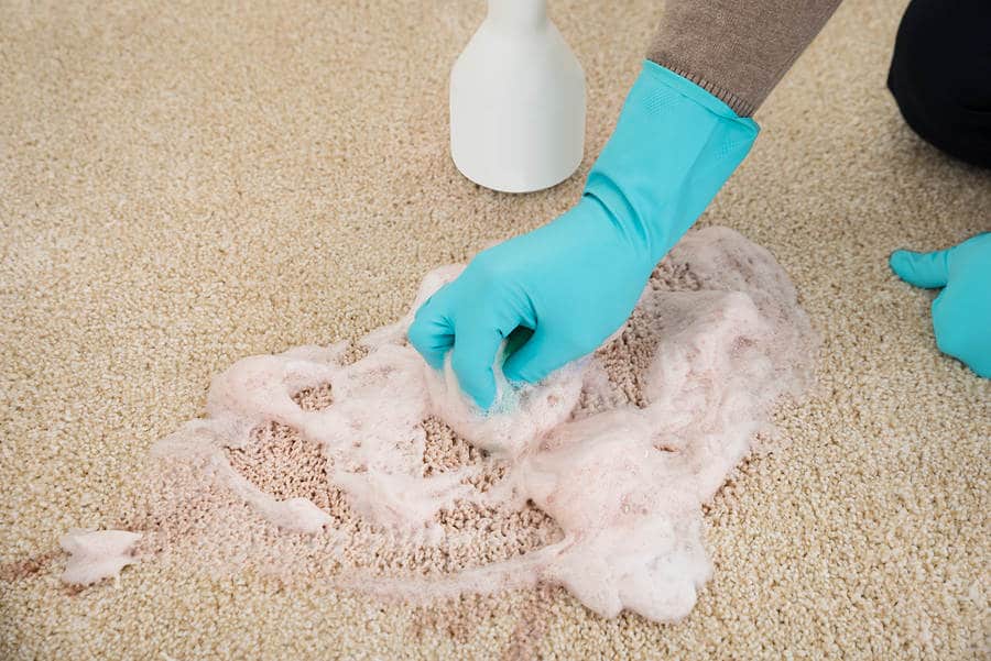 Как удалить запах мочи с ковра: 32 лучших средства для чистки в домашних условиях