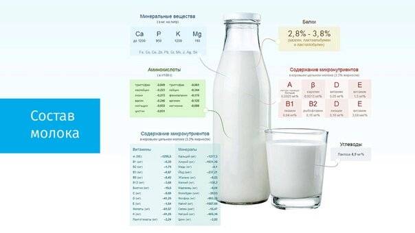 Особенности переднего и заднего грудного молока: состав, калорийность и полезные свойства