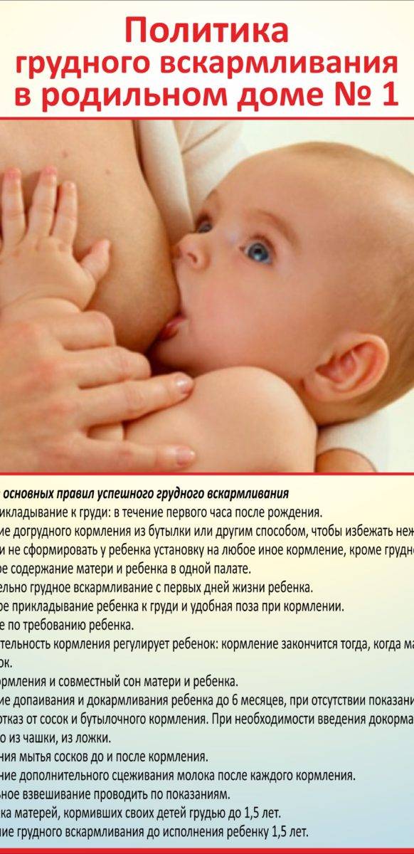 Грудной ребенок требует грудь постоянно: новорожденный просит есть каждый час