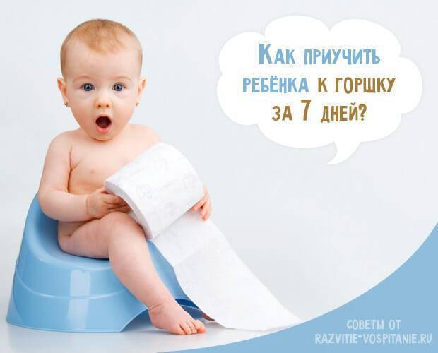 Пошаговые рекомендации по приучению годовалого малыша к горшку