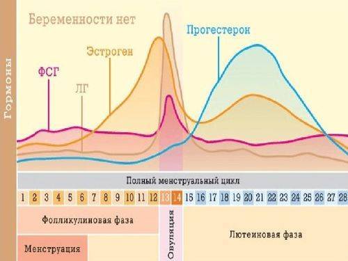 Синдром гиперстимуляции яичников