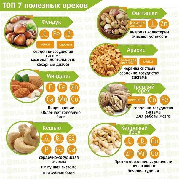 Аллергия на орехи : причины, симптомы, диагностика, лечение | компетентно о здоровье на ilive