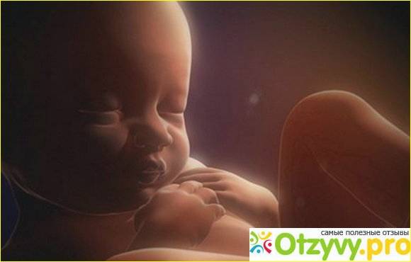 Одноразовые органы:
10 вопросов о том, что происходит во время беременности