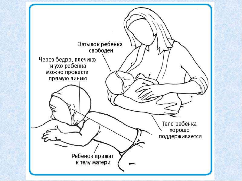 Как правильно кормить новорожденного грудным молоком: позы, сколько должен съедать, прикладывание, режим