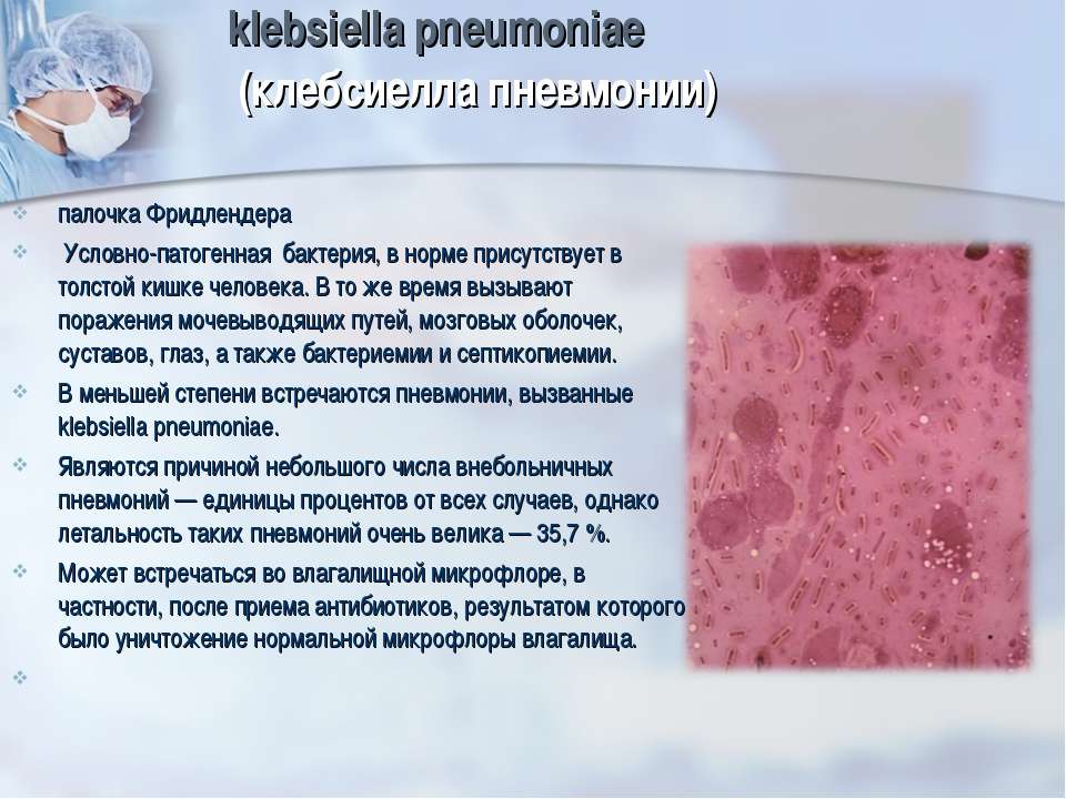 Медведев - акушер-гинеколог, профессор. бакпосев на микрофлору - klebsiella pneumoniae 10^6