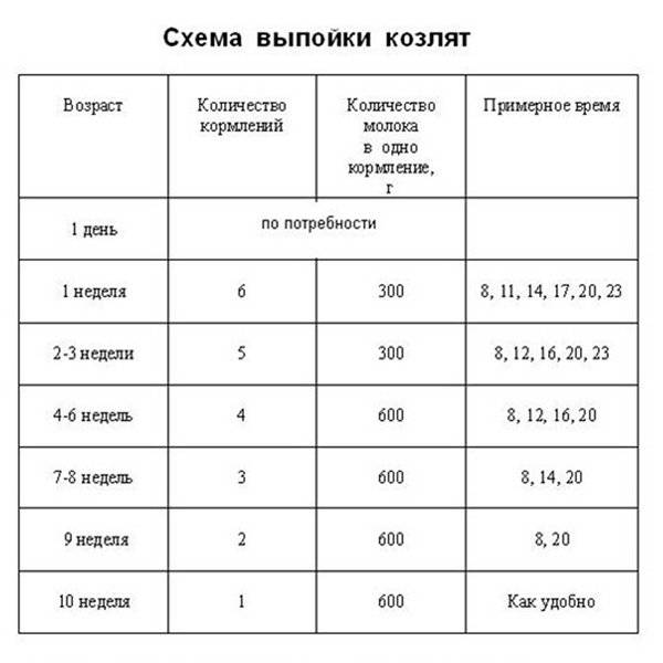 Правильный прикорм