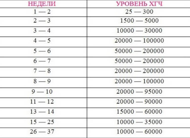 «гормон беременности» или хорионический гонадотропин человека (хгч) — клиника isida киев, украина