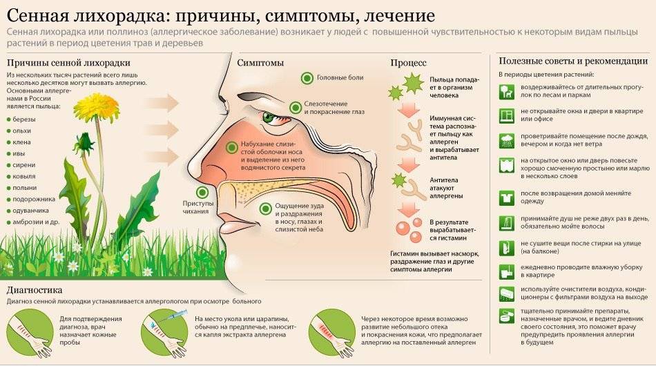 Аллергия на пыльцу | компетентно о здоровье на ilive