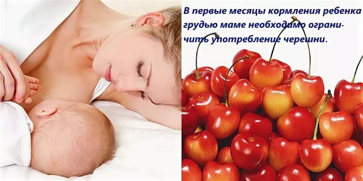 Можно ли кормящей маме кушать сливы: польза свежих фруктов и компота при грудном вскармливании