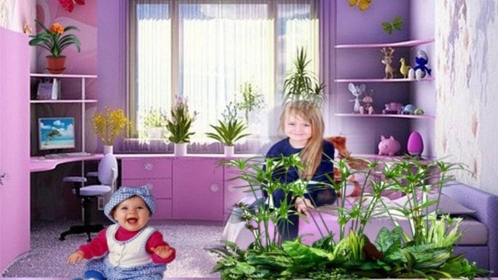 Растения для детской комнаты: выбор, количество и свойства