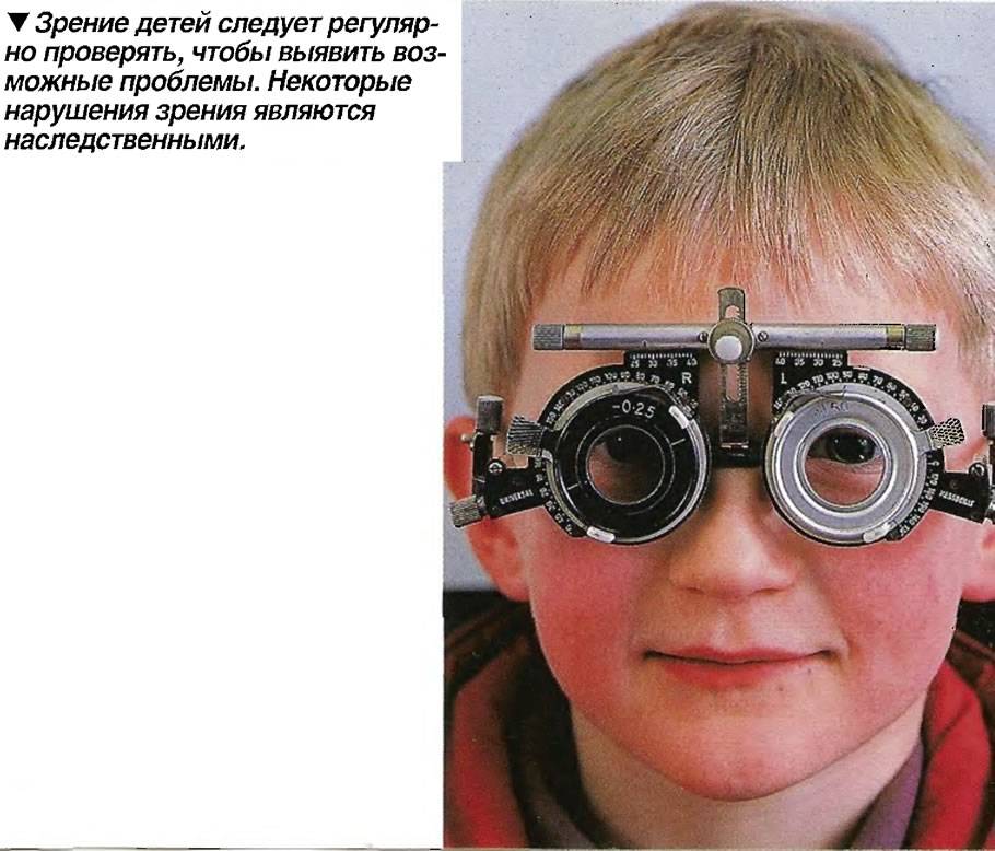 Формирование зрительной функции у детей