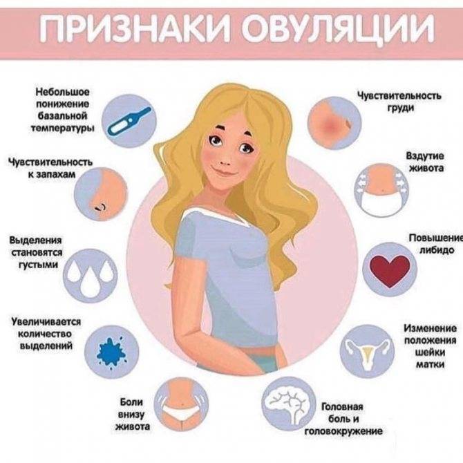 Климакс и беременность: беременность при менопаузе возможна