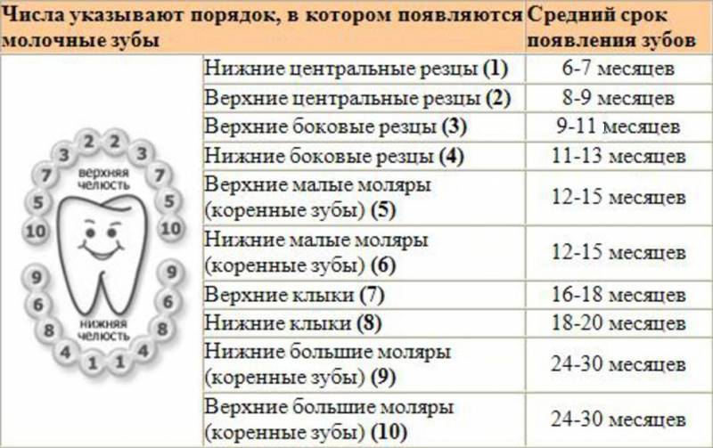 Кариес у детей: лечение, кариес молочных зубов, фото, симптомы, диагностика