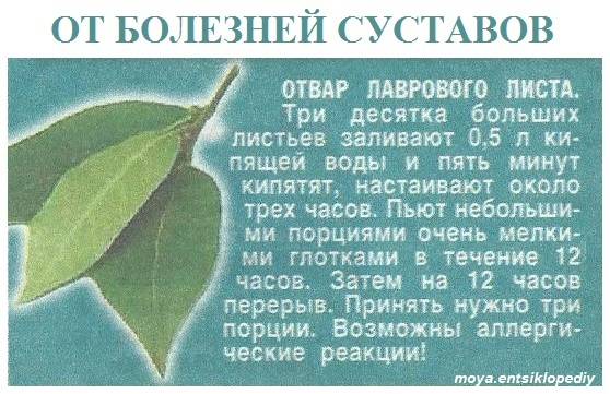 Пижма для прерывания беременности : инструкция по применению | компетентно о здоровье на ilive