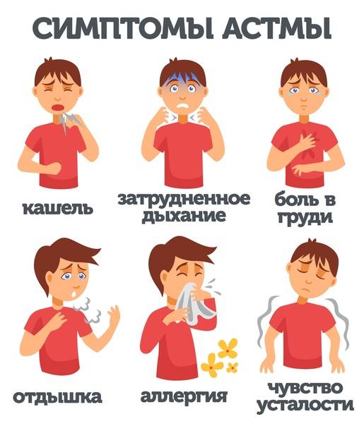 Бронхиальная астма у ребенка - симптомы болезни, профилактика и лечение бронхиальной астмы у ребенка, причины заболевания и его диагностика на eurolab