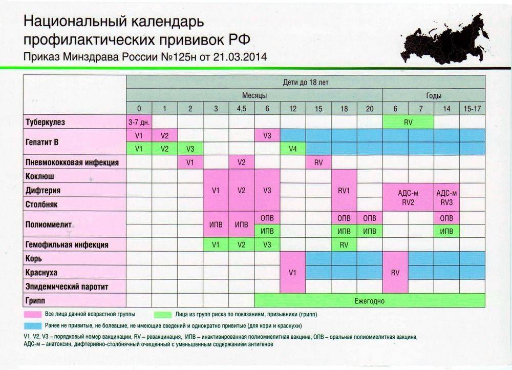 Календарь прививок для детей от рождения до 3 лет: план и таблицы с графиком вакцинации в россии