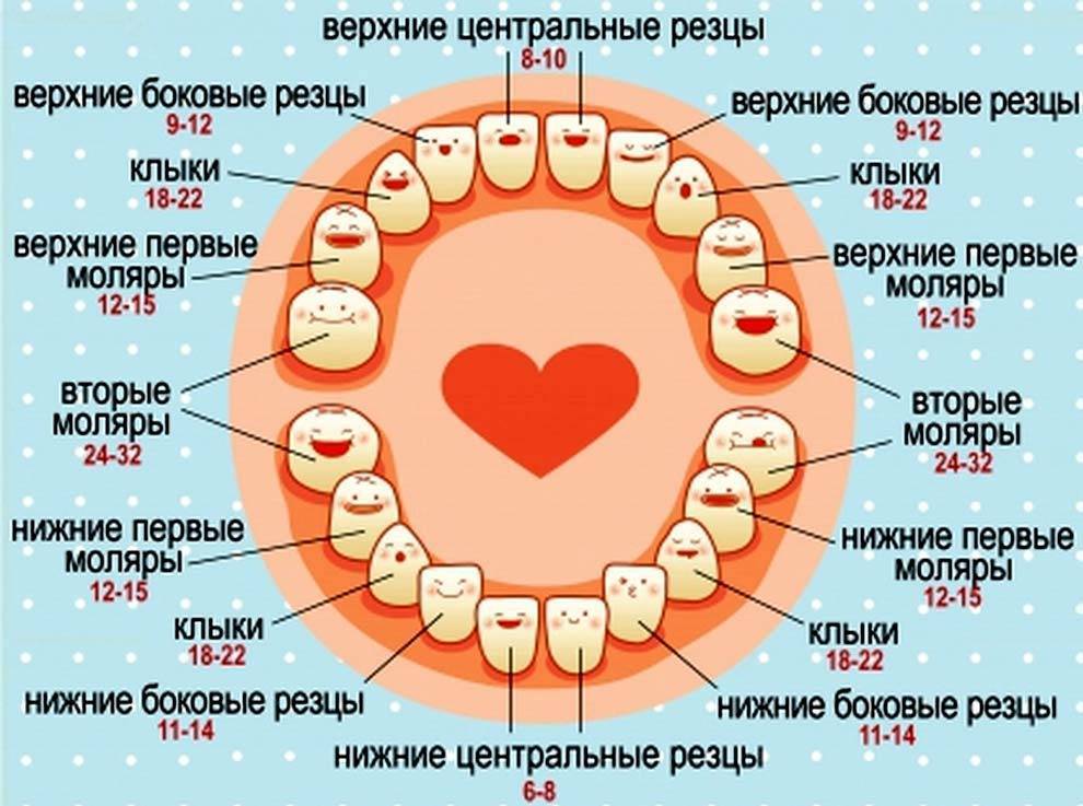 Редкие зубы: как исправить, фото до и после, способы исправления. редкие зубы у ребенка