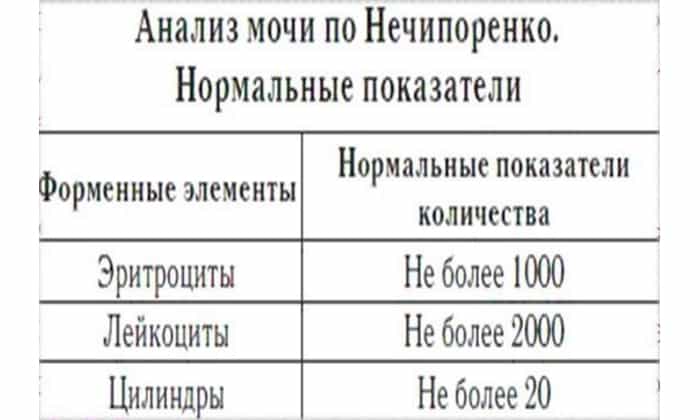 Анализ мочи по Нечипоренко у детей: норма и расшифровка результатов, сбор биоматериала