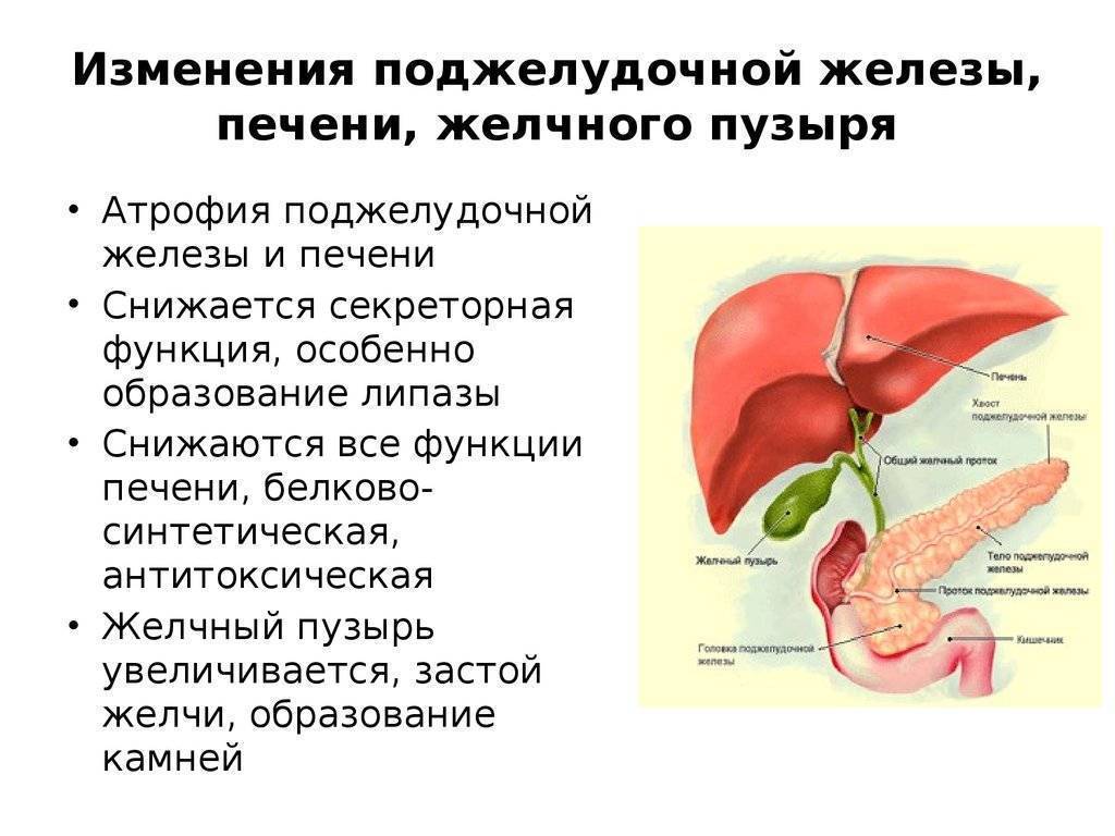 Лекарства от панкреатита поджелудочной железы: список лучших препаратов - причины, диагностика и лечение