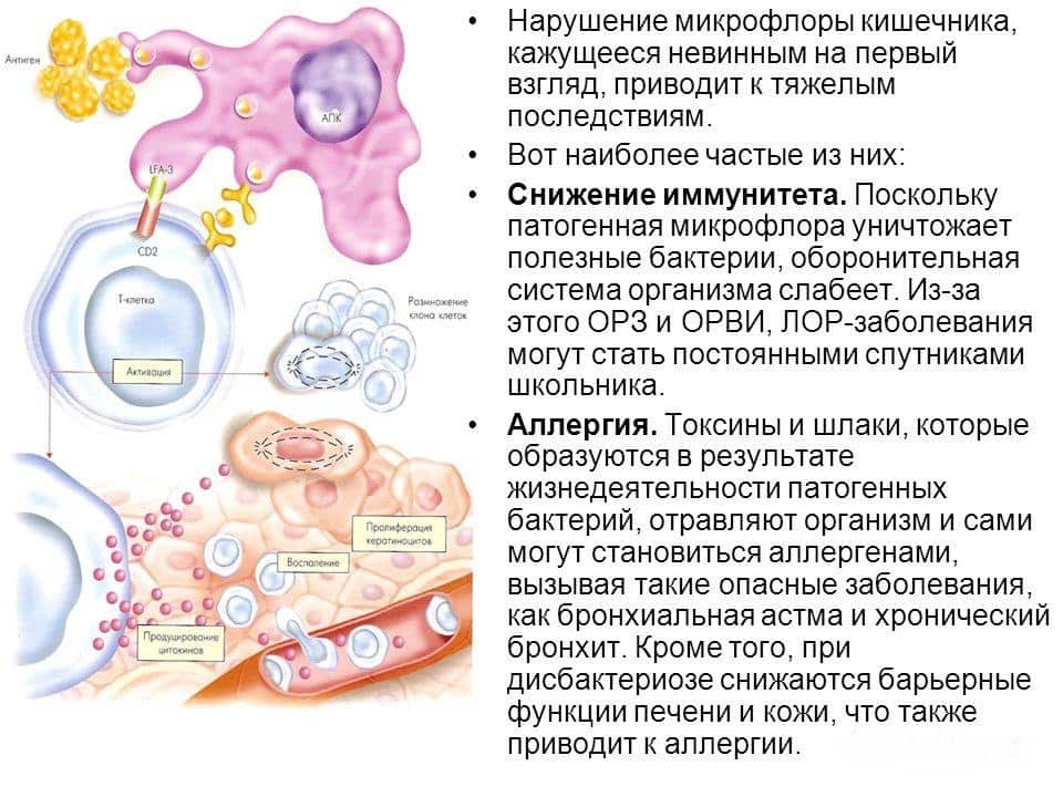 Возникновение дисбактериоза после антибиотиков. бифилакт биота | биота