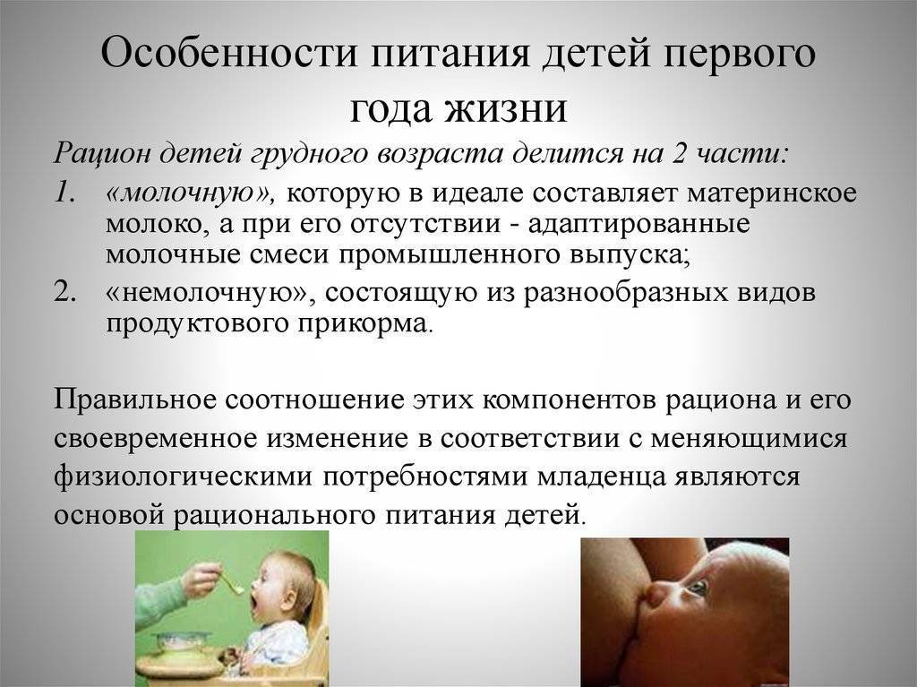 Кормить малыша по режиму или по требованию: что лучше? Отвечает врач-педиатр