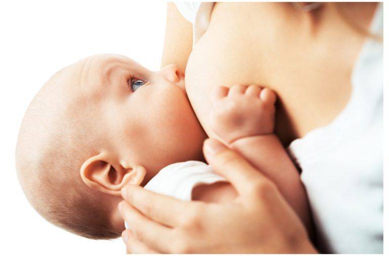Отлучение от груди: прикорм, питание малыша