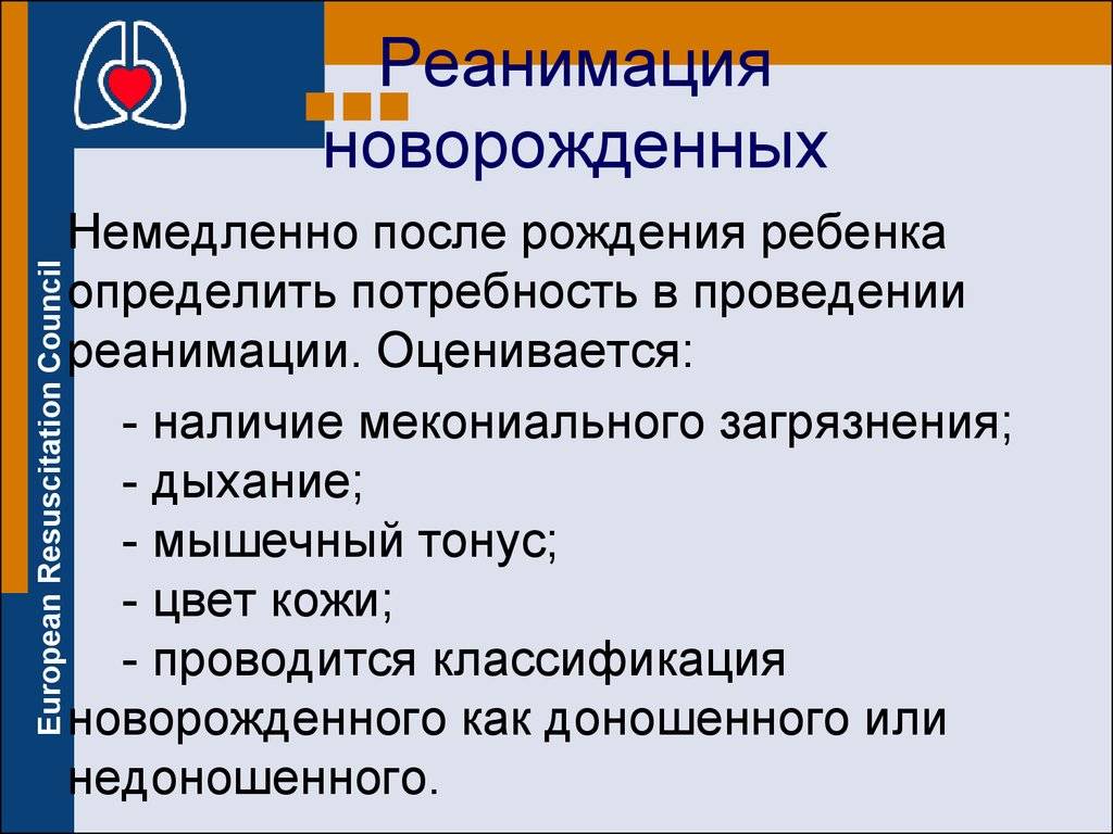 Специальный врач. неонатолог – о выхаживании недоношенных детей