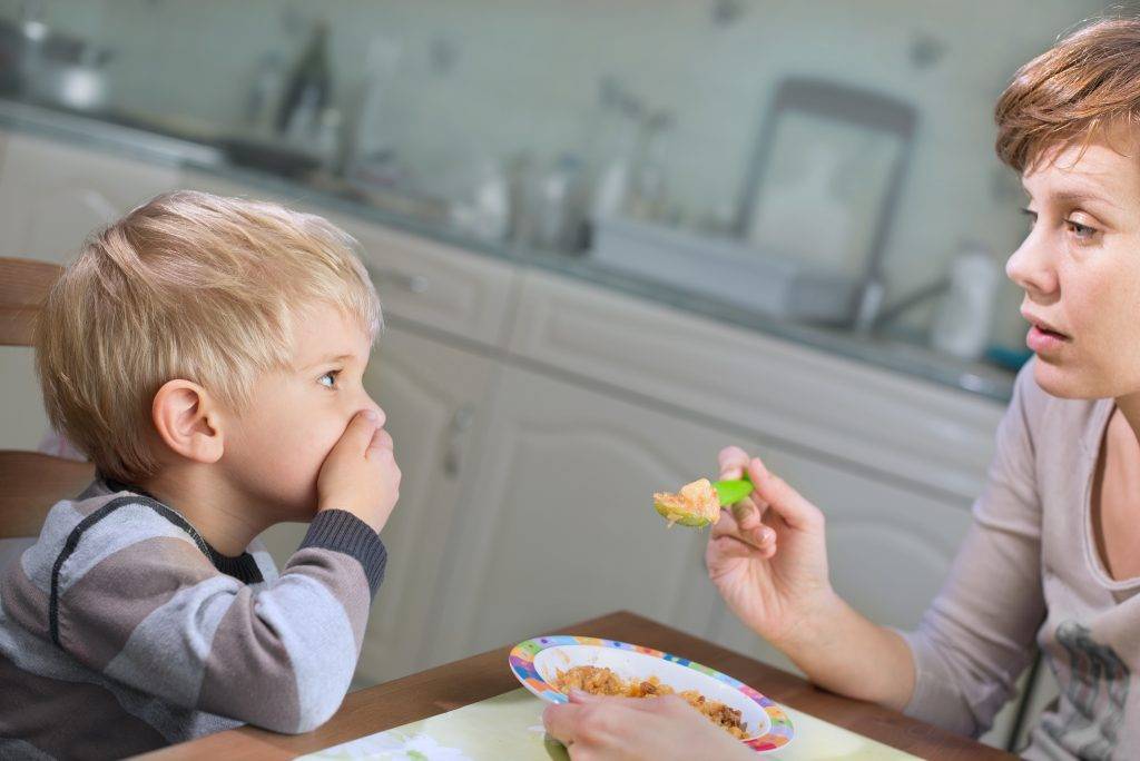 Что делать если ребенок не ест мясо? - все о родах