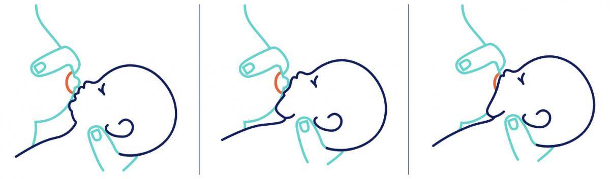 Ребенок кусает во время кормления грудью, что делать, советы комаровского