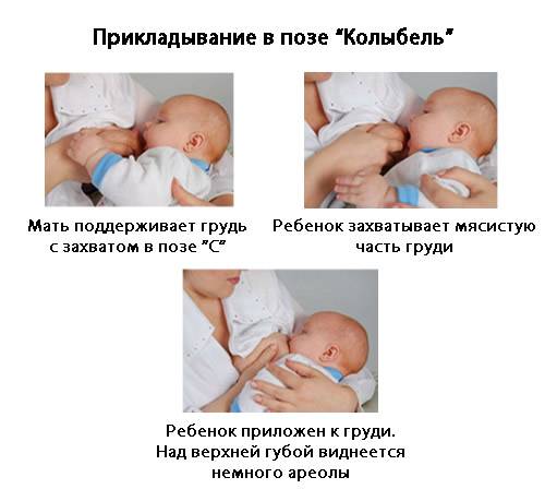 Как кормить грудью новорождённого