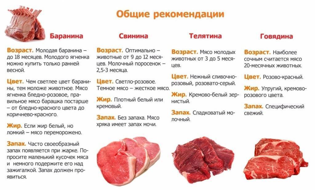 С какого возраста ребенку можно давать куриную, говяжью или свиную печень?