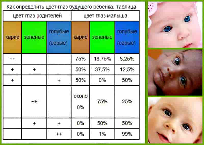Как определить доминирующий ген цвета глаз у человека? какой цвет глаз доминирует у человека от родителей: карий или голубой, серый, зеленый или голубой?