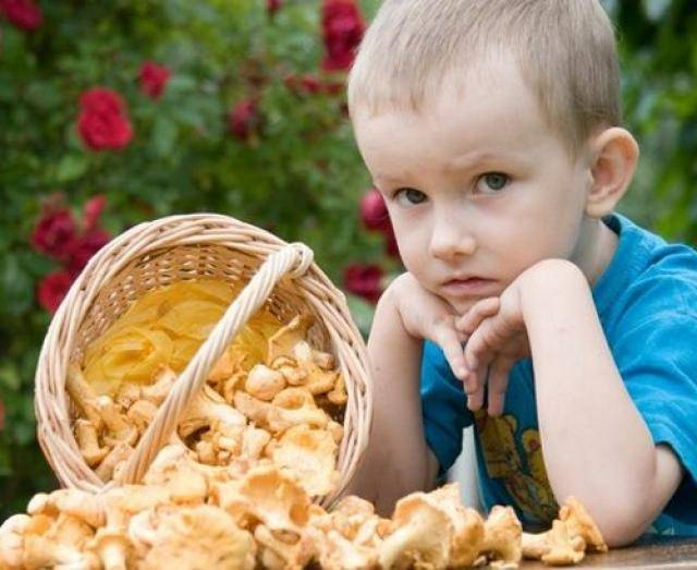 Грибной суп детям: с какого возраста можно, 7 полезных свойств, отравление грибами