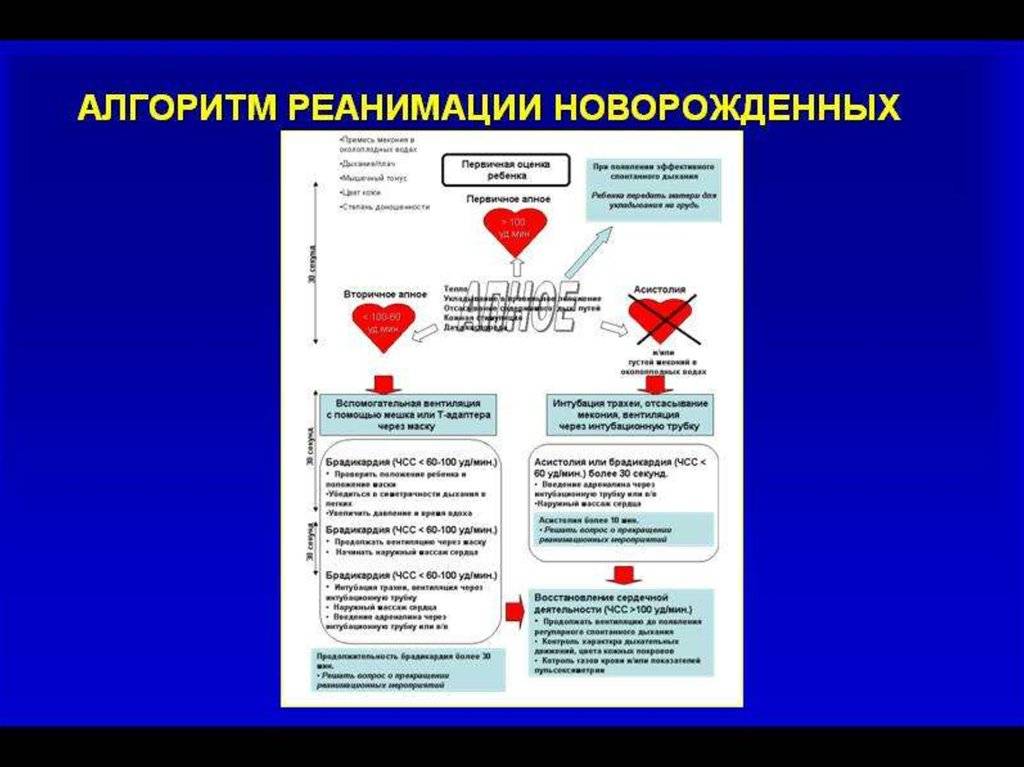 Алгоритмы новорожденных