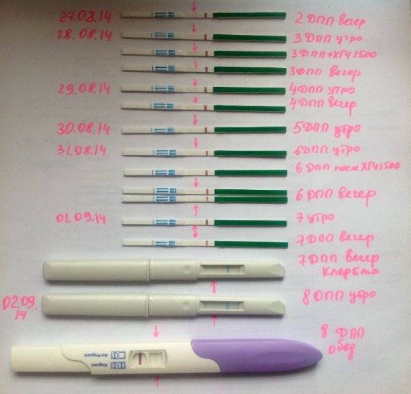 Тест на беременность через двое суток после предполагаемой имплантации - вопрос гинекологу - 03 онлайн