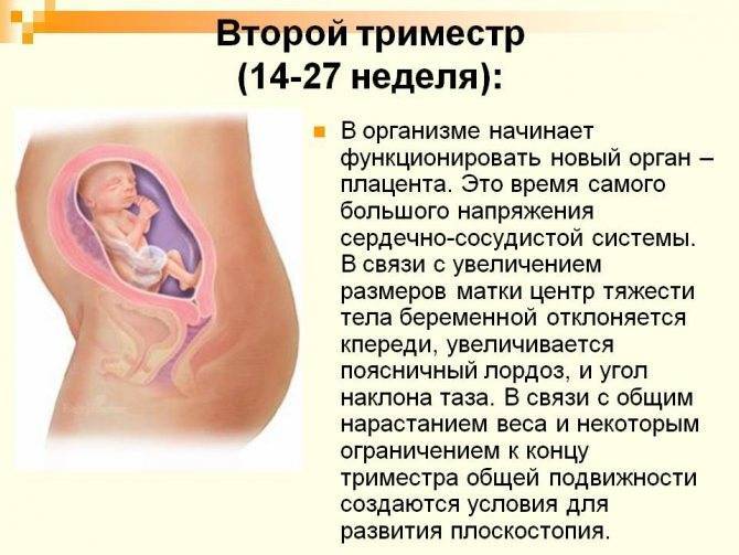 Причины боли в правом боку во время беременности