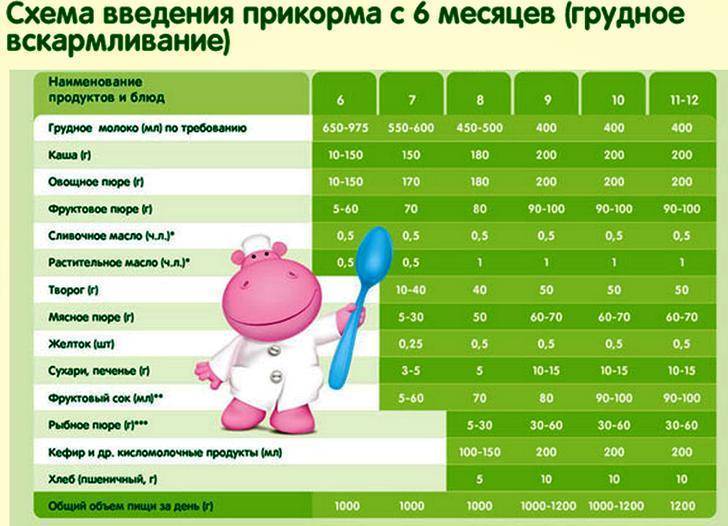 Cо скольки месяцев можно начинать прикармливать ребенка, таблица введения прикорма в зависимости от типа питания малыша
