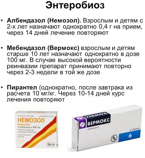 Таблетки от глистов: топ-10 самых эффективных препаратов