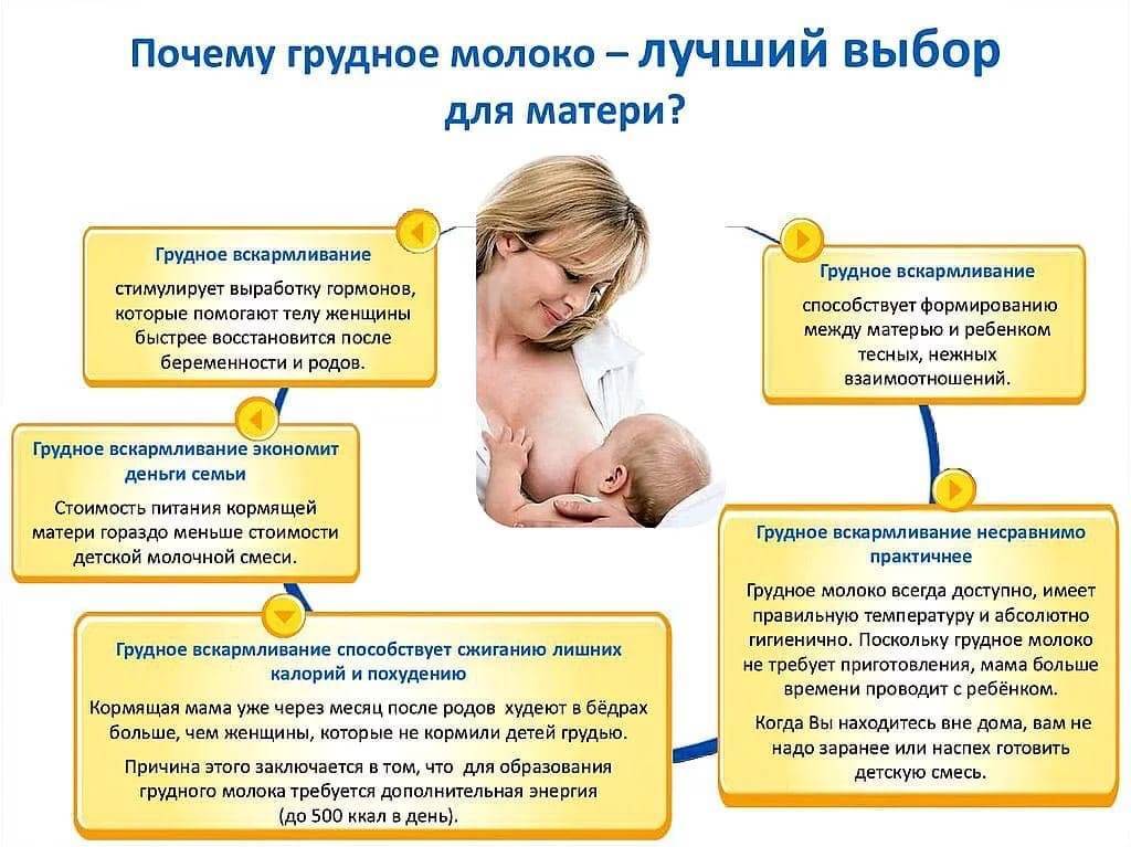 Как увеличить количество грудного молока у кормящей мамы: основные методы